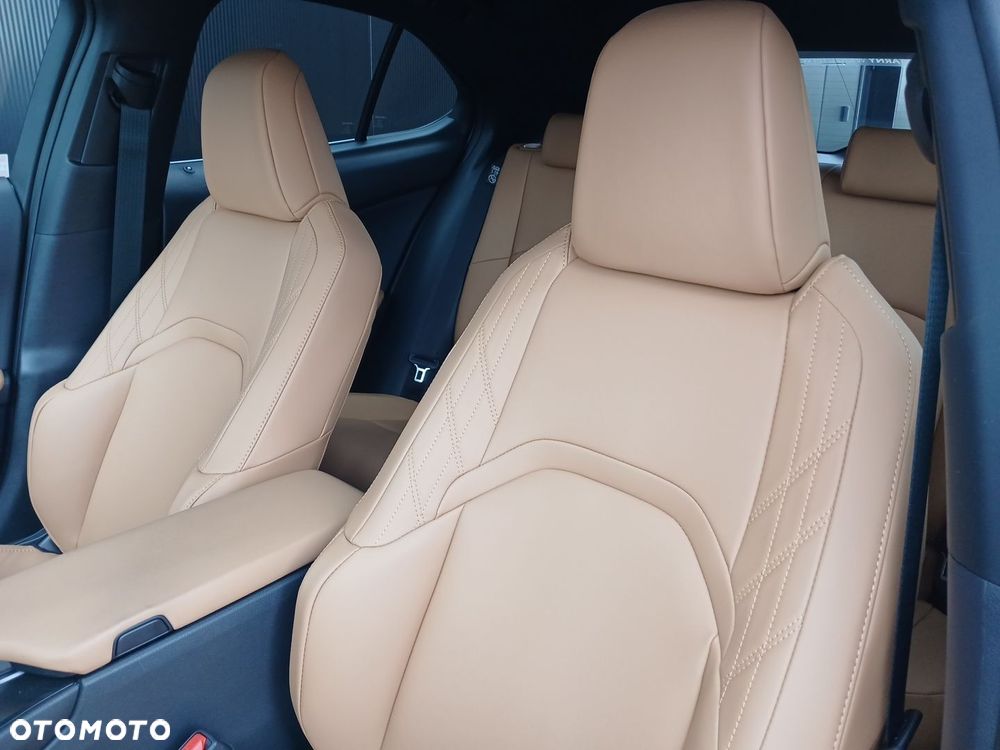 Lexus UX 300h F Sport Design - 24