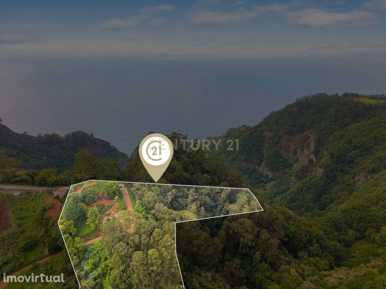 Terreno em São Jorge com Vistas ao Mar e Montanha Únicas - Grande imagem: 5/13