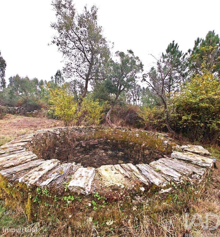 Quinta rural em Benquerenças - Grande imagem: 3/9