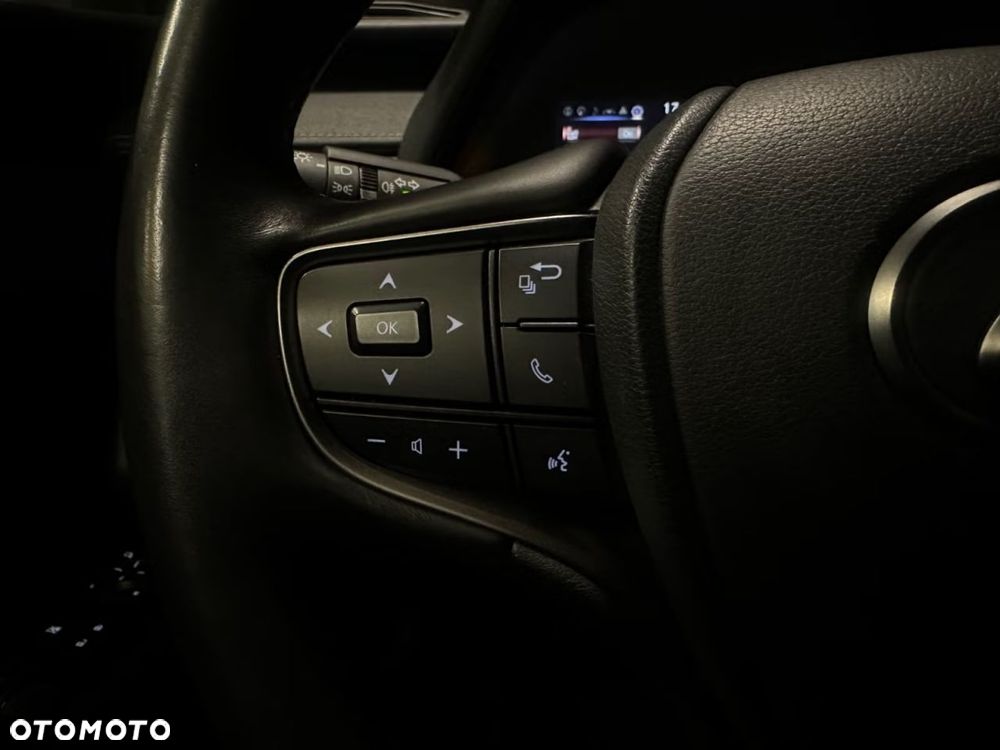 Lexus UX 250h Executive Line - 15