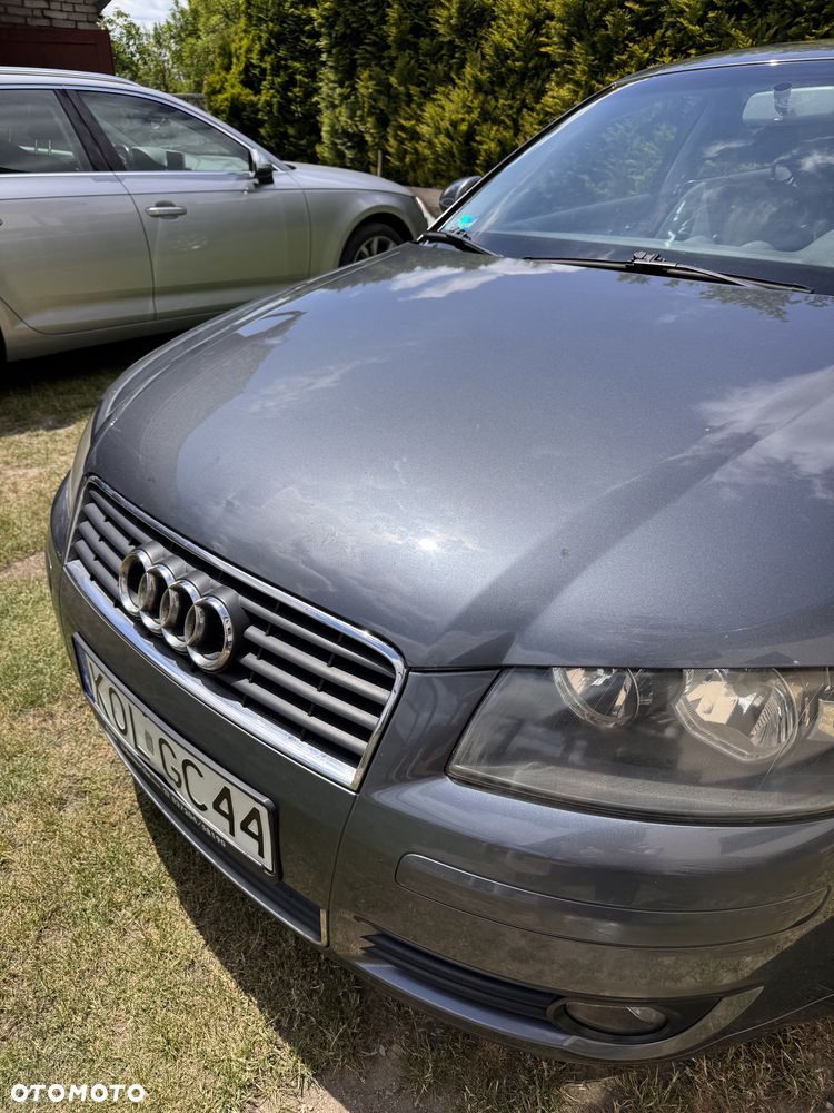 Audi A3 3-drzwiowe 1.9 TDI DPF Ambition - 19