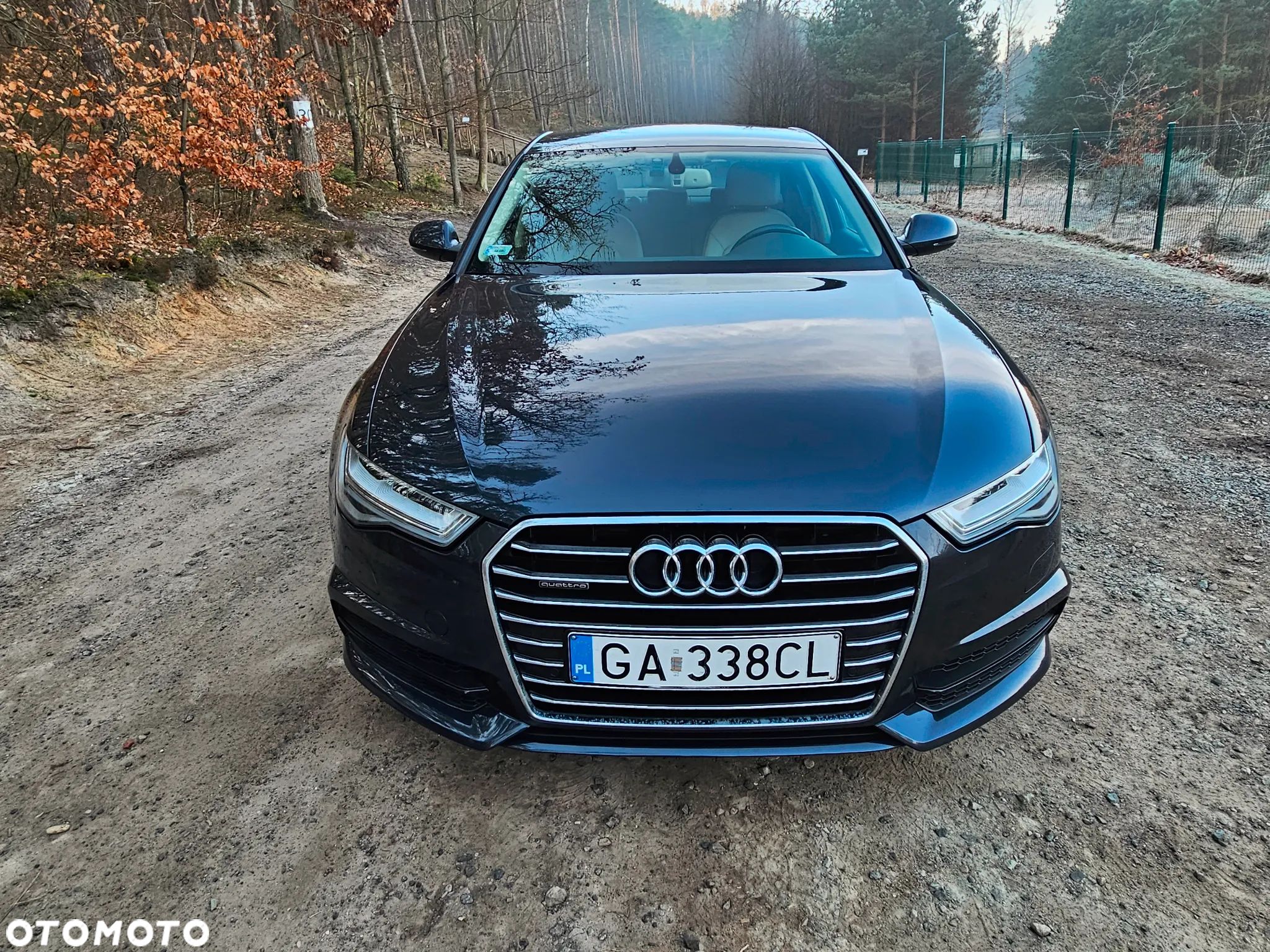 Audi A6 2.0 TDI Quattro S tronic - 1