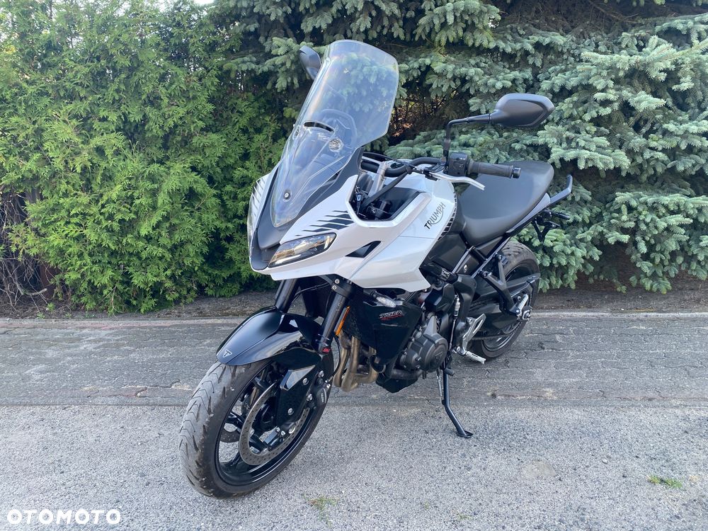 Triumph Tiger - 19