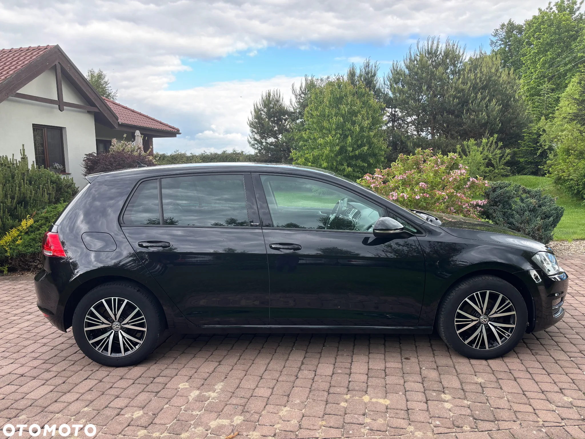 Volkswagen Golf 1.6 TDI BlueMotion Technology Allstar - 5