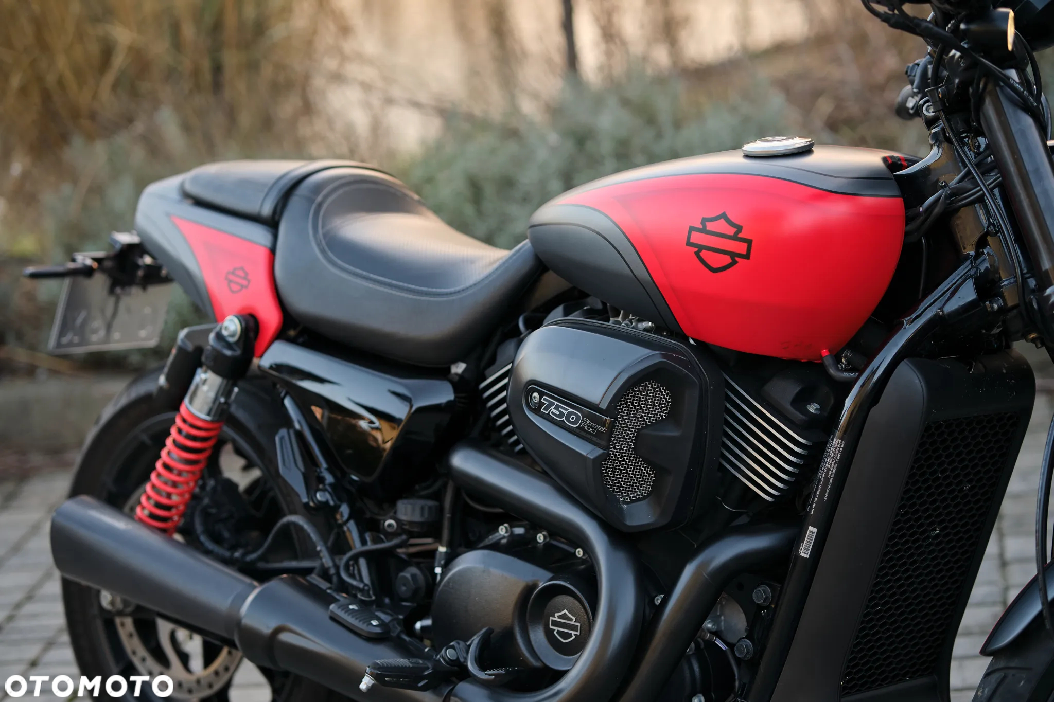 Harley-Davidson Street Rod XG 750A - 4