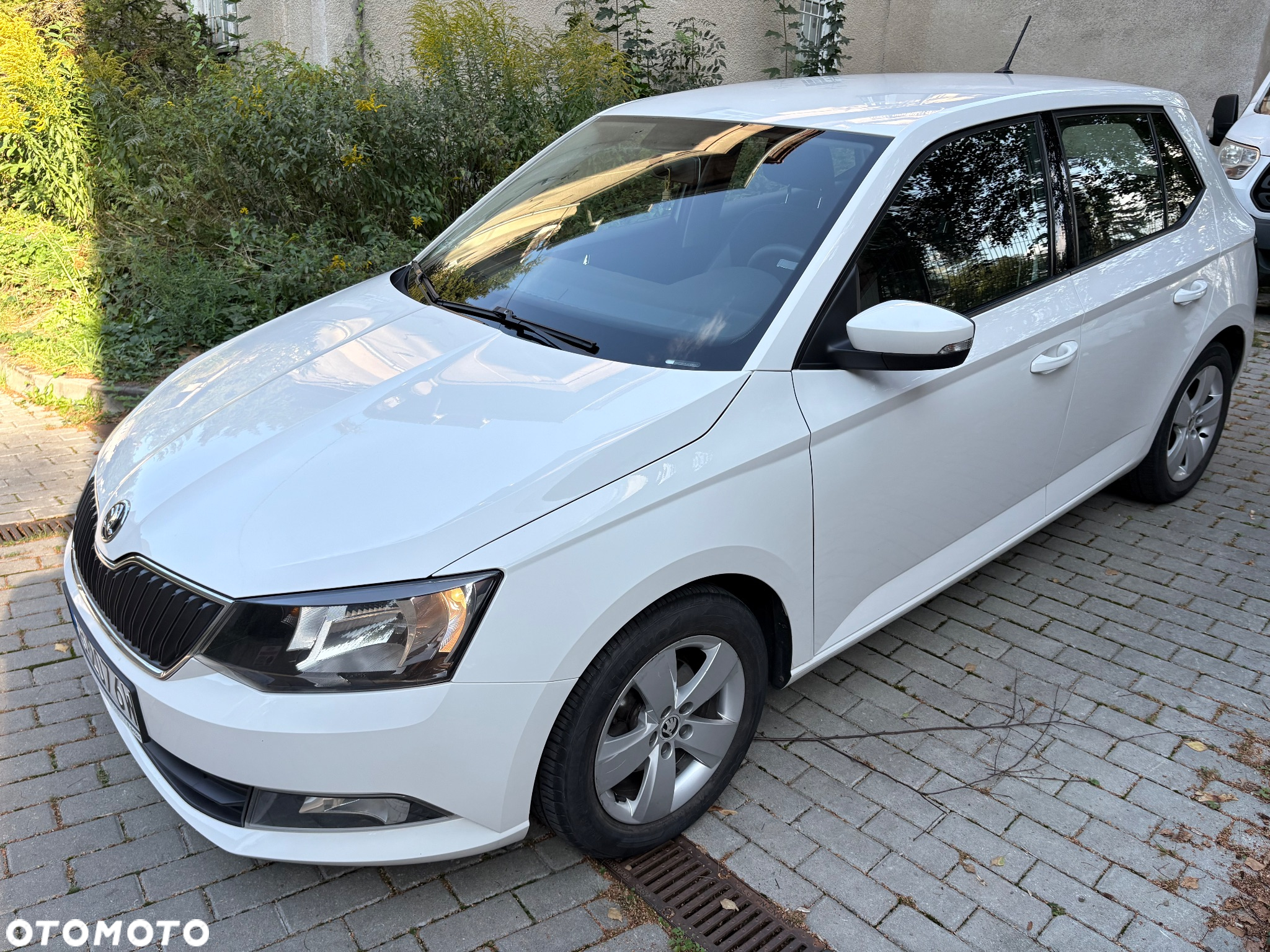 Skoda Fabia 1.0 TSI Ambition - 4