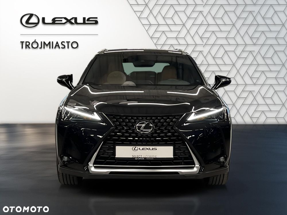 Lexus UX 250h GPF Business 2WD - 8