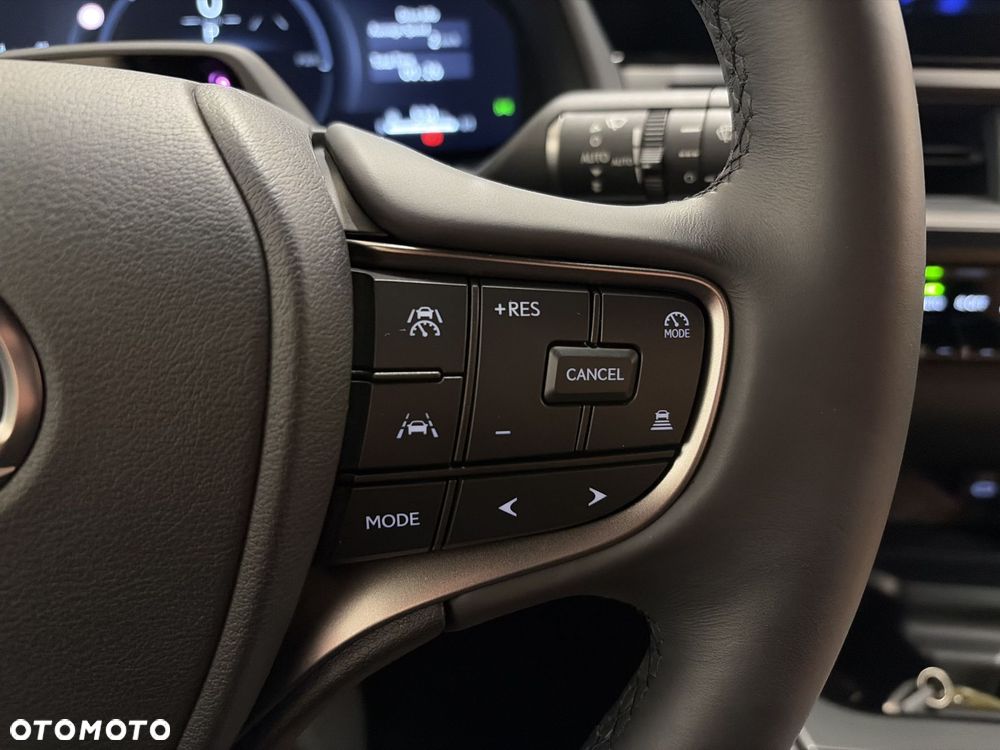 Lexus UX 300h Prestige - 14