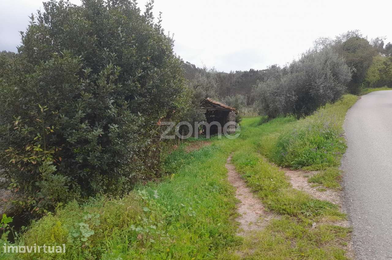 Terreno Rustico - Grande imagem: 5/25