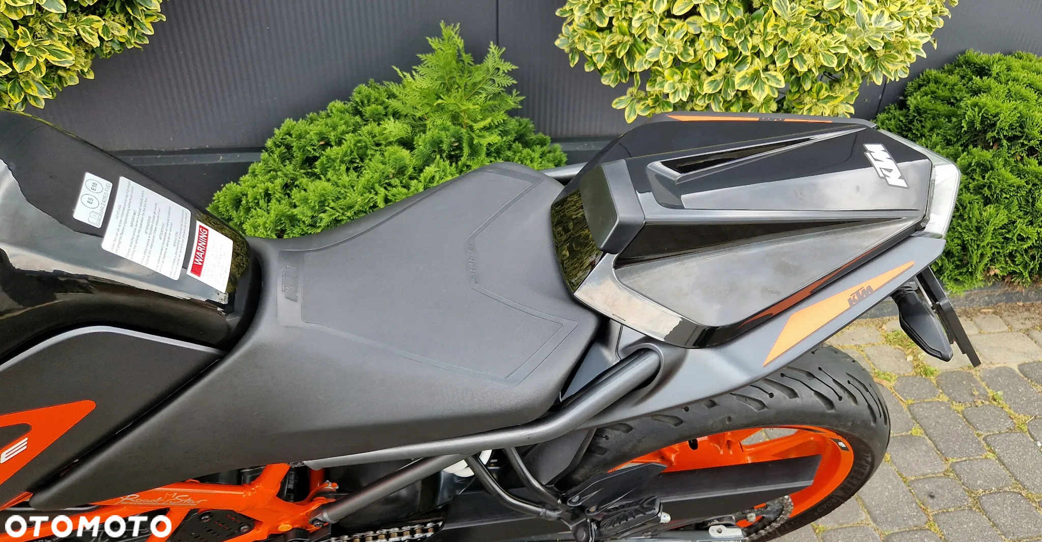 KTM Duke - 36