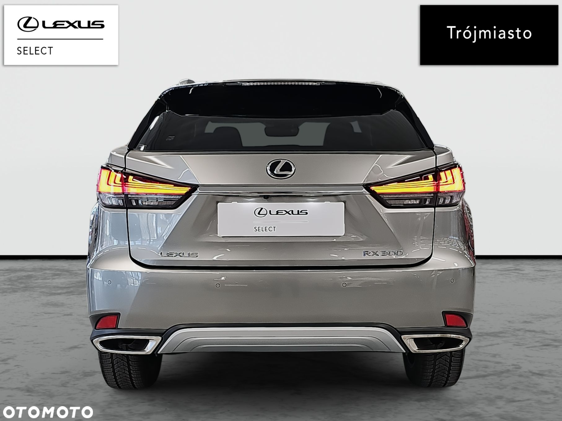 Lexus RX 300 Prestige - 7