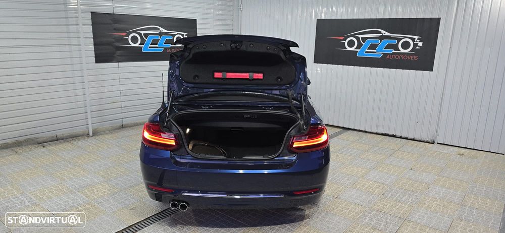 BMW 220 d Cabrio LIne Luxury - 21