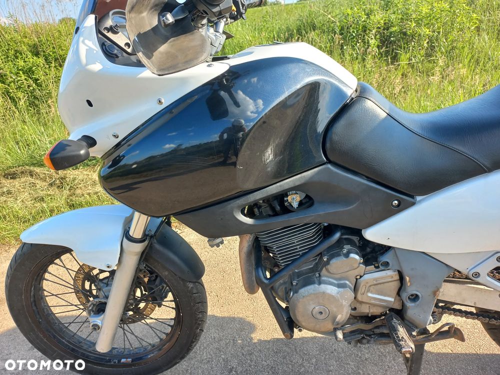 Suzuki XF - 14