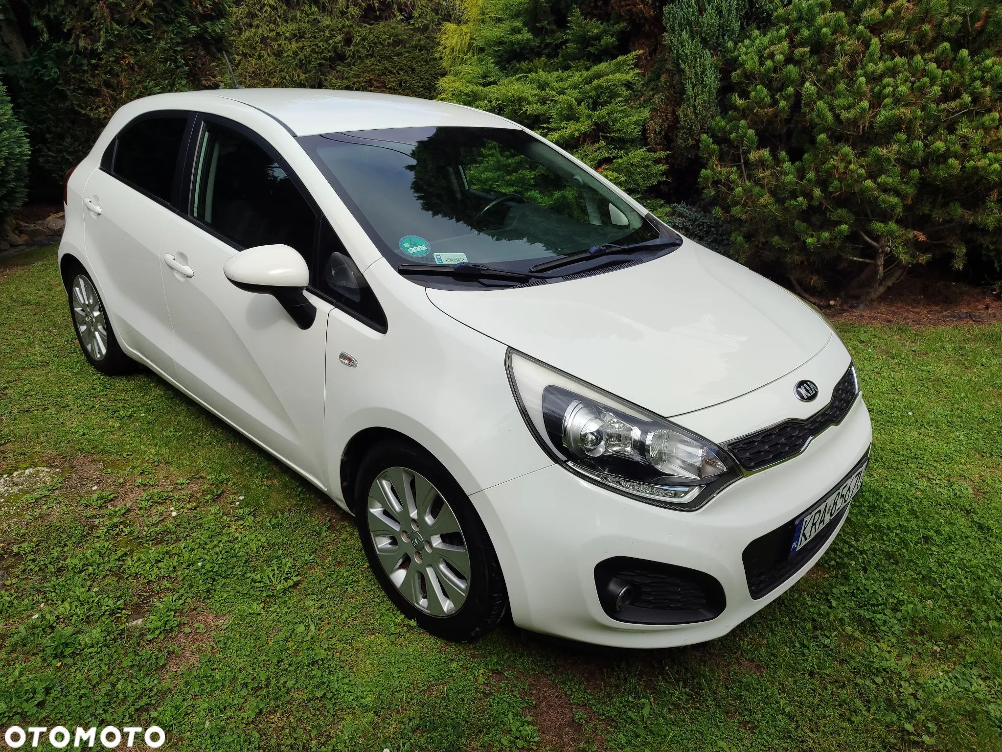 Kia Rio - 1
