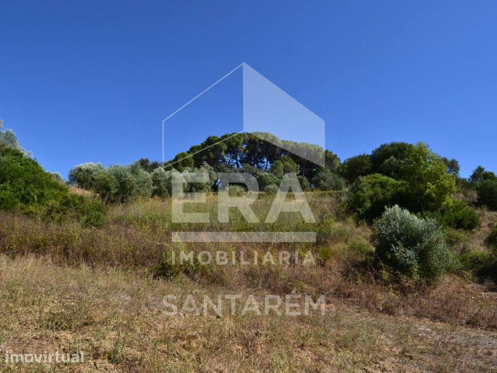 Terreno rústico com 15.720 m² (1.57 hectares) - Grande imagem: 5/7