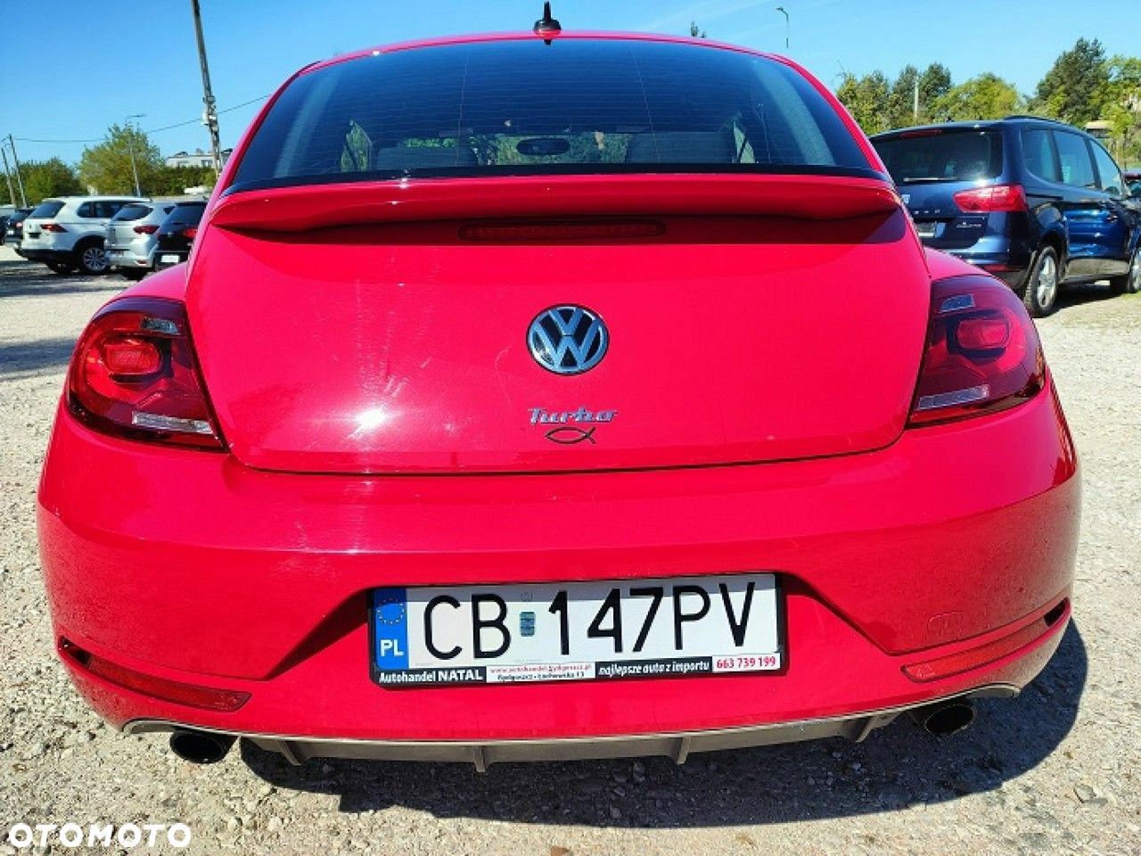 Volkswagen Beetle - 3