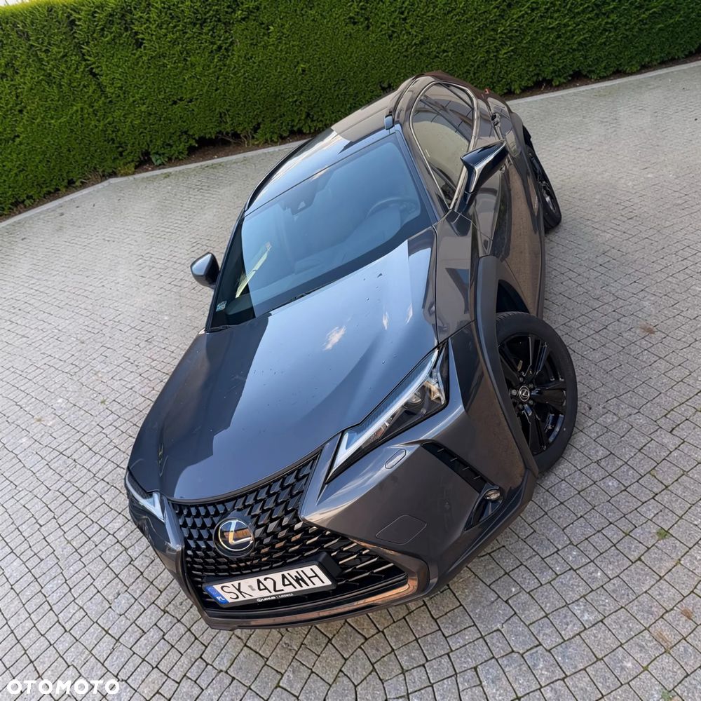 Lexus UX 250h GPF F Impression 2WD - 5
