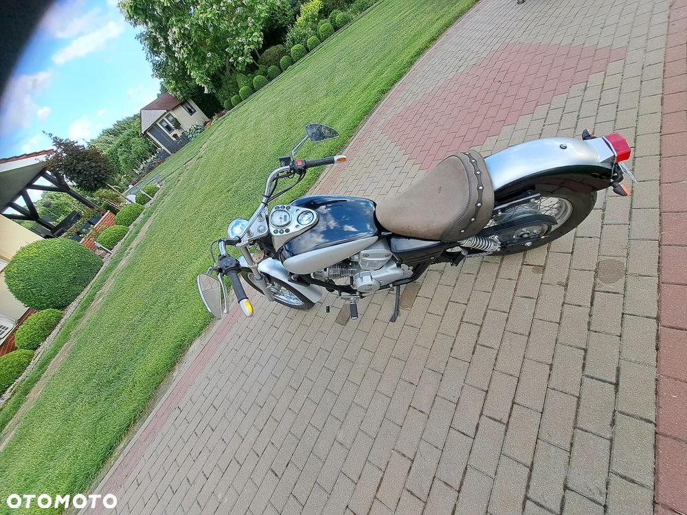 Honda Shadow - 4