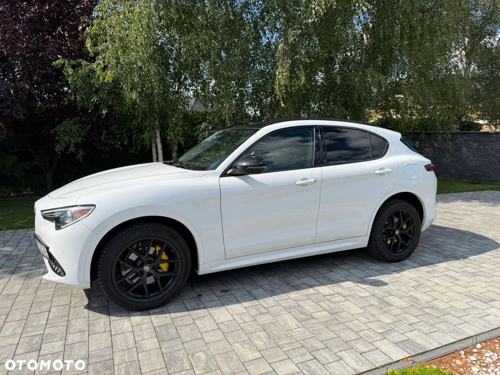 Alfa Romeo Stelvio 2.0 Turbo 16V AT8-Q4 Ti - 1