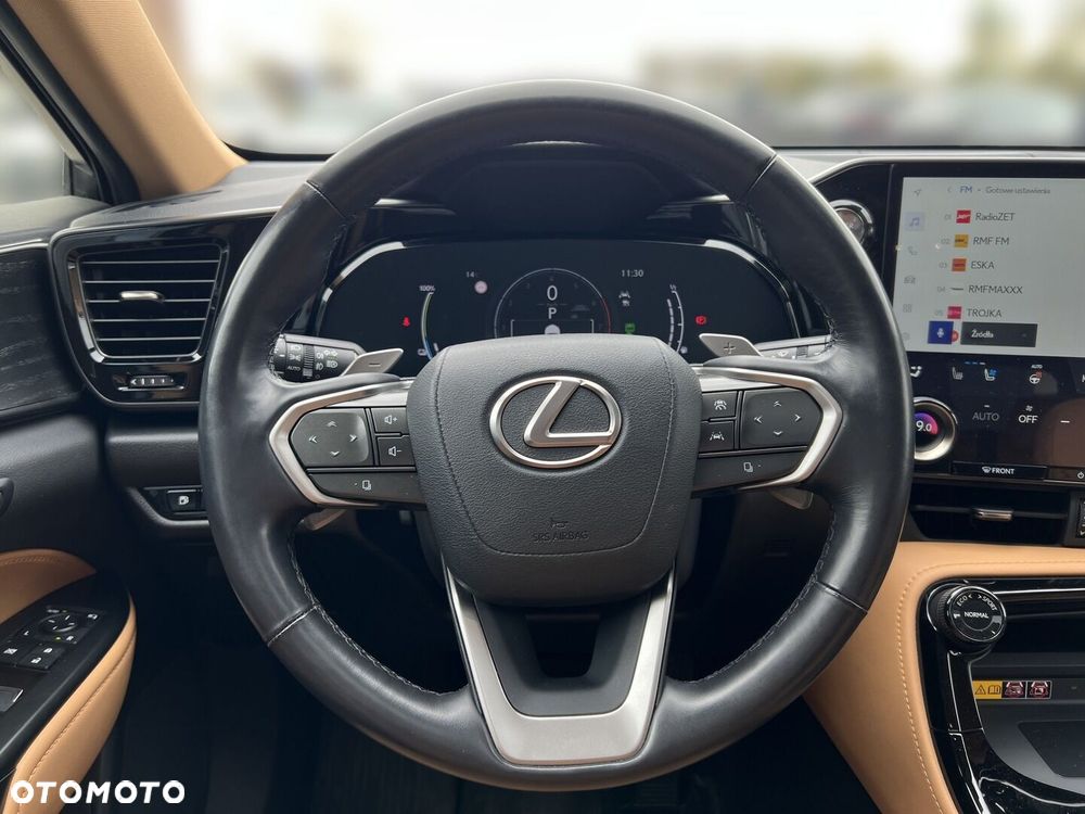 Lexus NX - 18