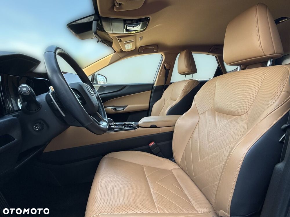 Lexus NX - 10