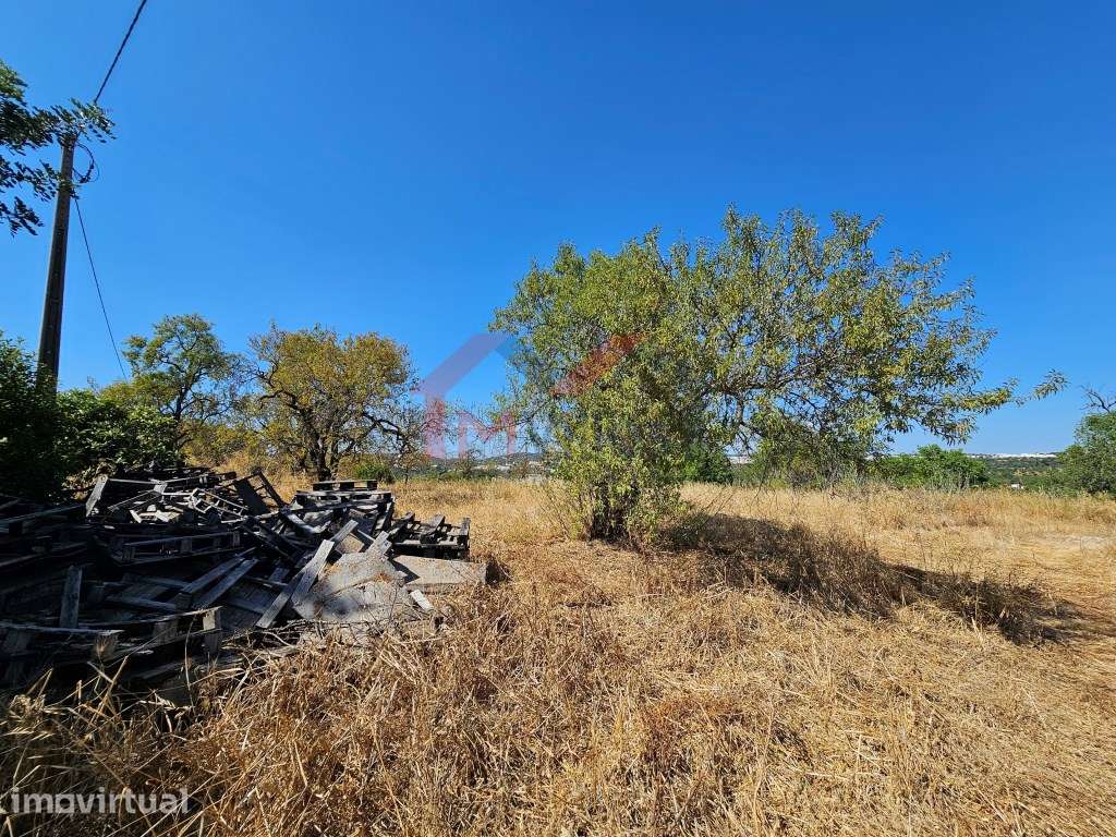 Moradia tradicional V5 para recuperar com terreno de 31.000 m2 - Loulé - Grande imagem: 5/18