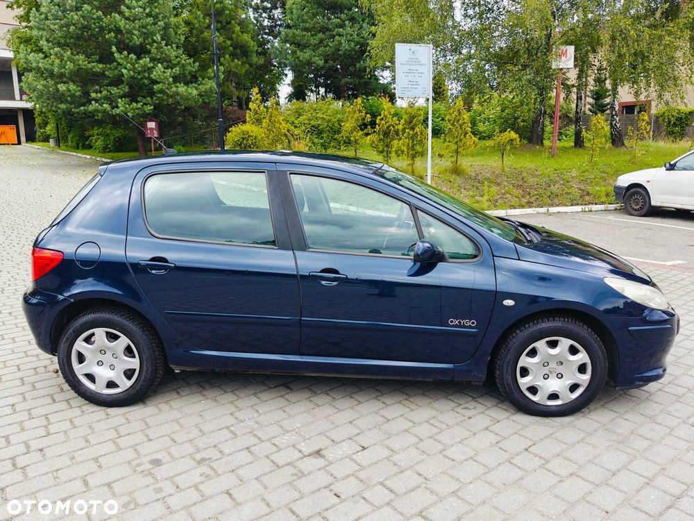 Peugeot 307 HDi 90 Grand Filou Cool - 5