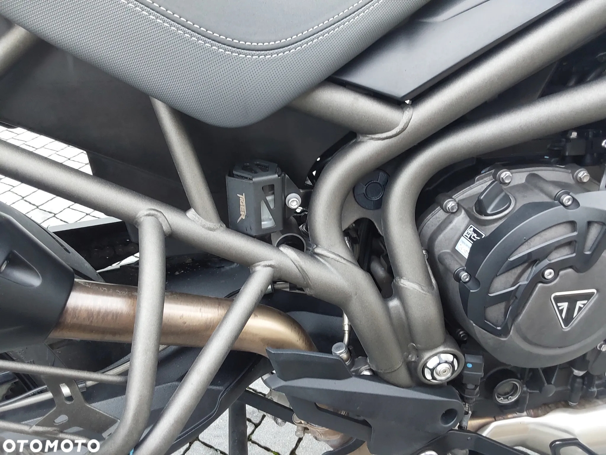 Triumph Tiger - 19