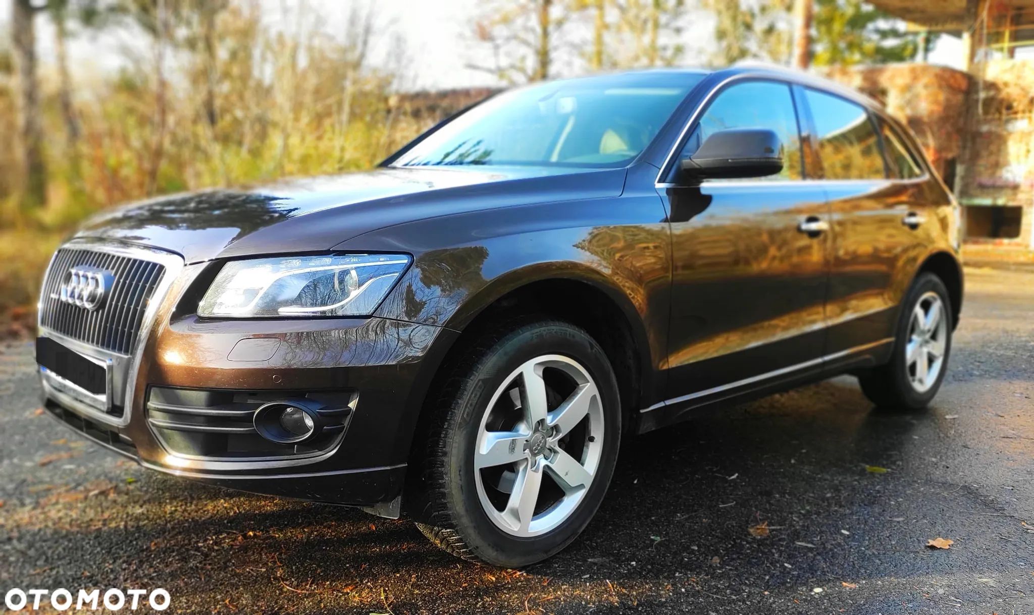 Audi Q5 - 1