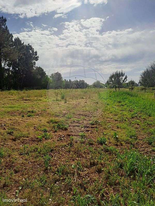 Terreno  para venda - Grande imagem: 3/5