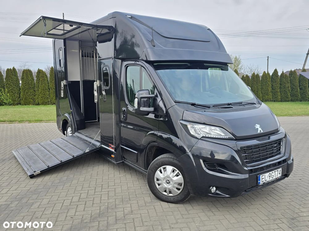 Peugeot Boxer-Koniowóz - 1
