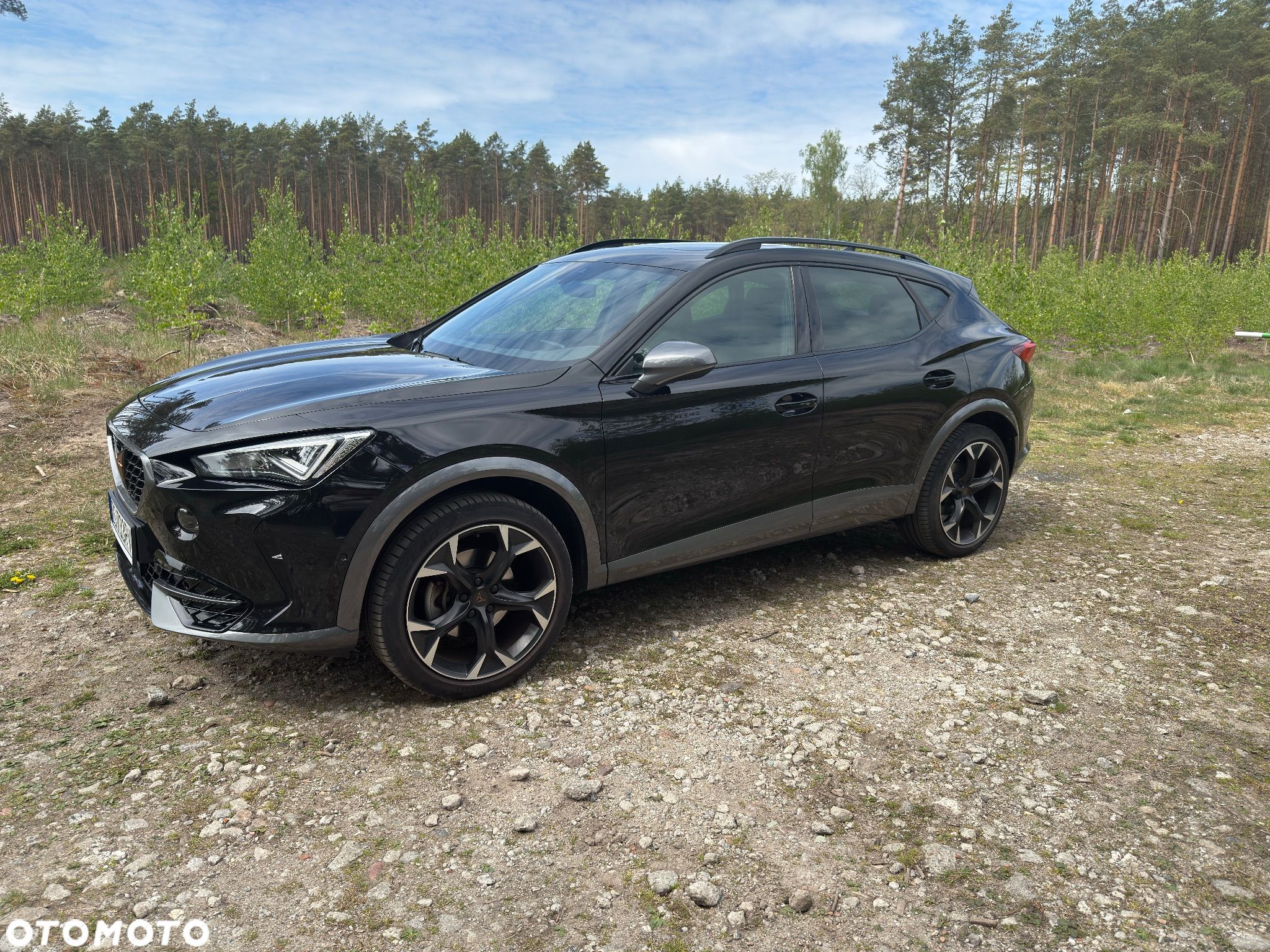 Cupra Formentor 1.5 TSI DSG - 1