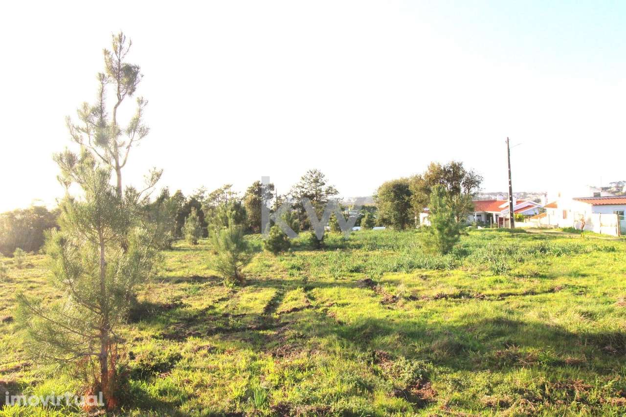Terreno com 6250m2 no Sobreiro de Mafra - Grande imagem: 5/27