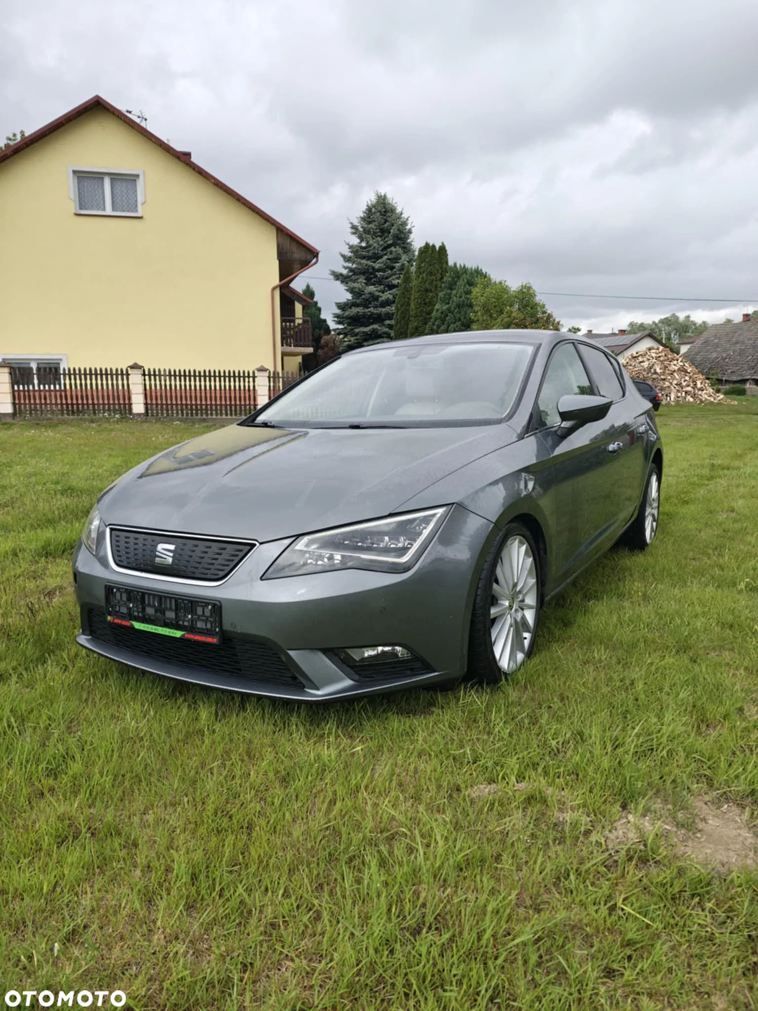 Seat Leon - 1