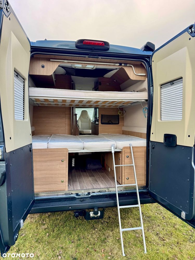 McLOUIS Prestige - 2