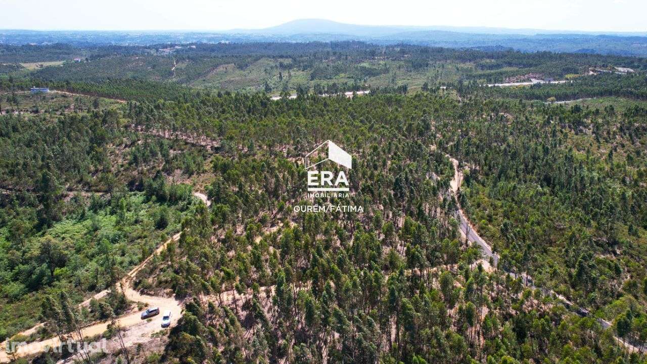 Terreno Rústico localizado em Carregueiros, Tomar - Grande imagem: 5/15