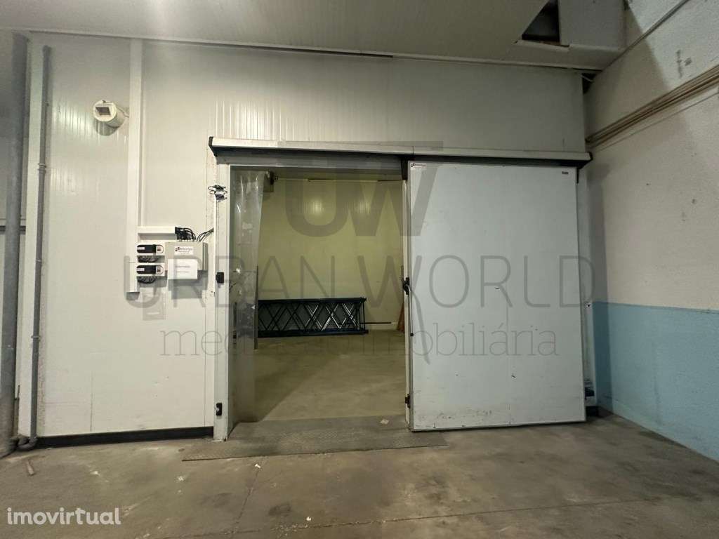 Armazém de Frio Industrial C/ Licença Veterinária P/ Ramo Alimentar... - Grande imagem: 4/20