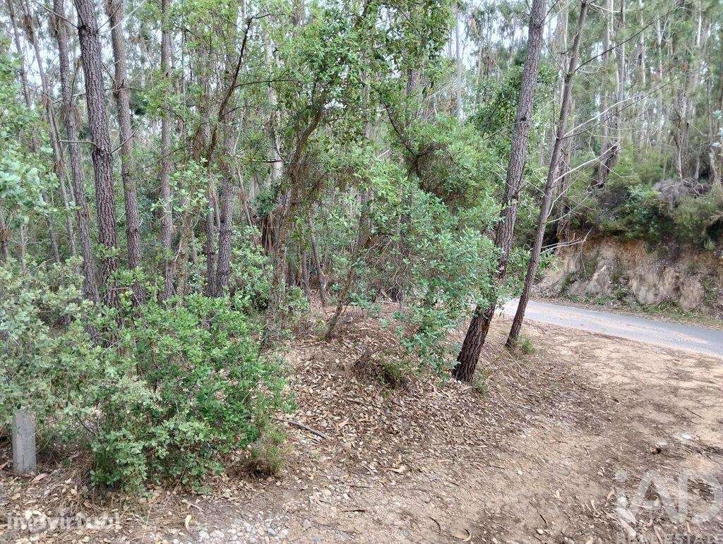 Terreno em Chãos de 1480,00 m2 - Grande imagem: 3/23