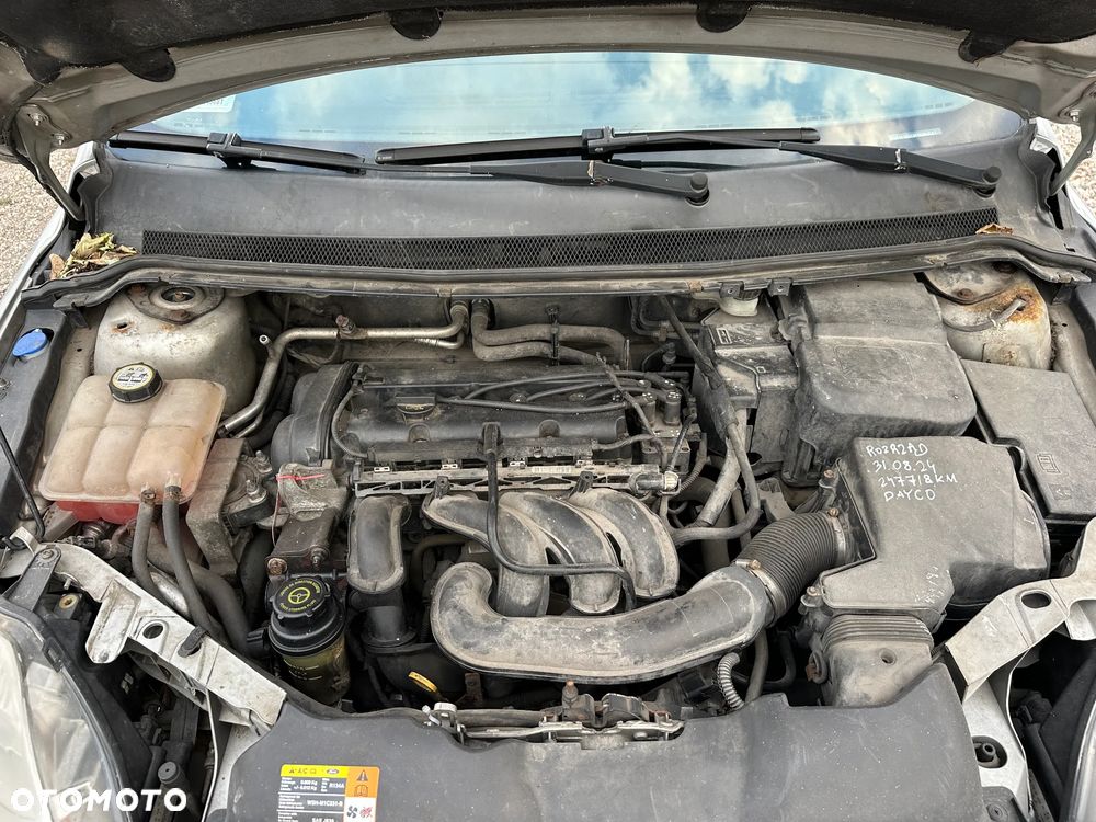 Ford Focus - 18