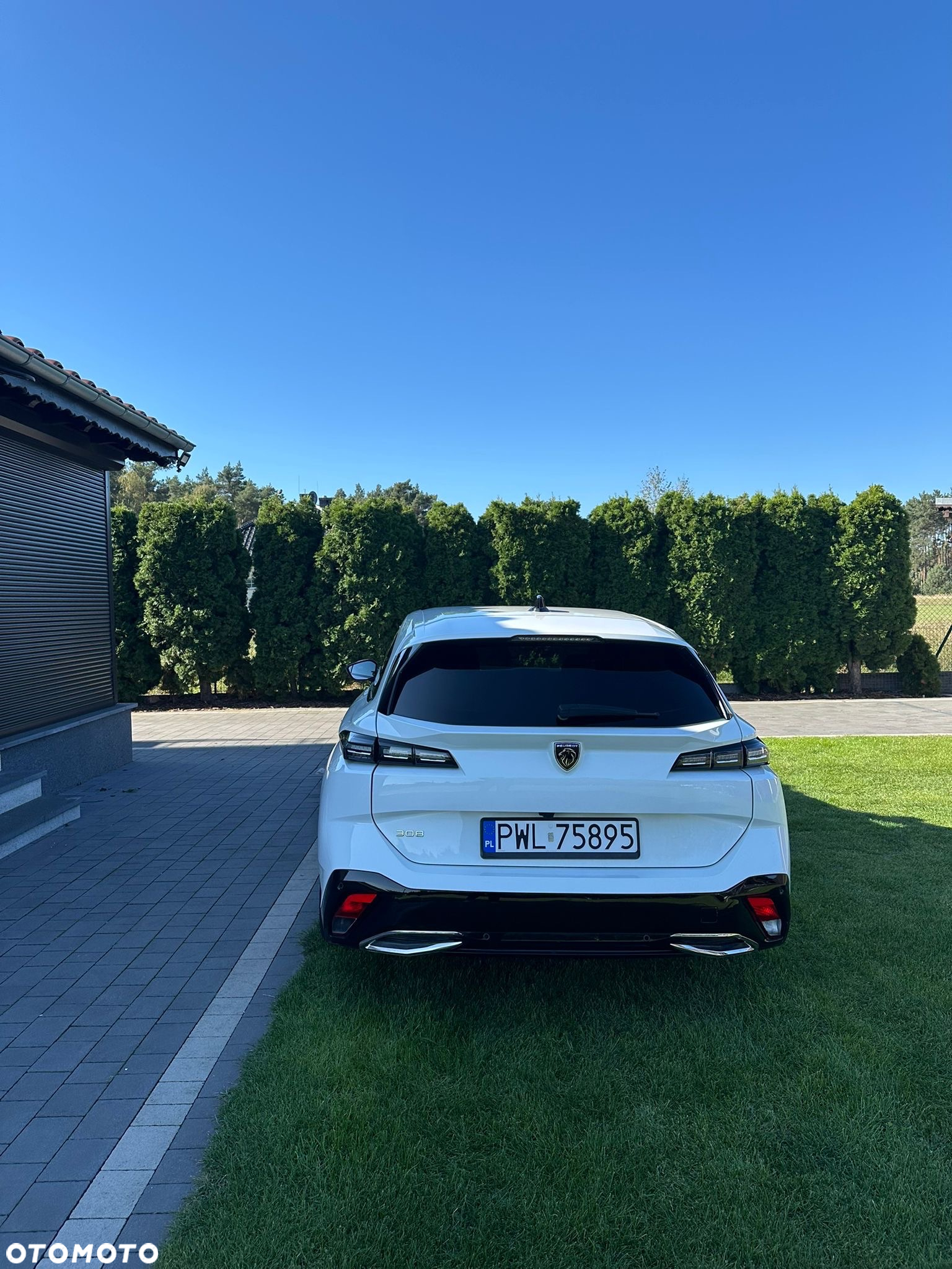 Peugeot 308 SW 1.5 BlueHDi Active Pack S&S EAT8 - 3
