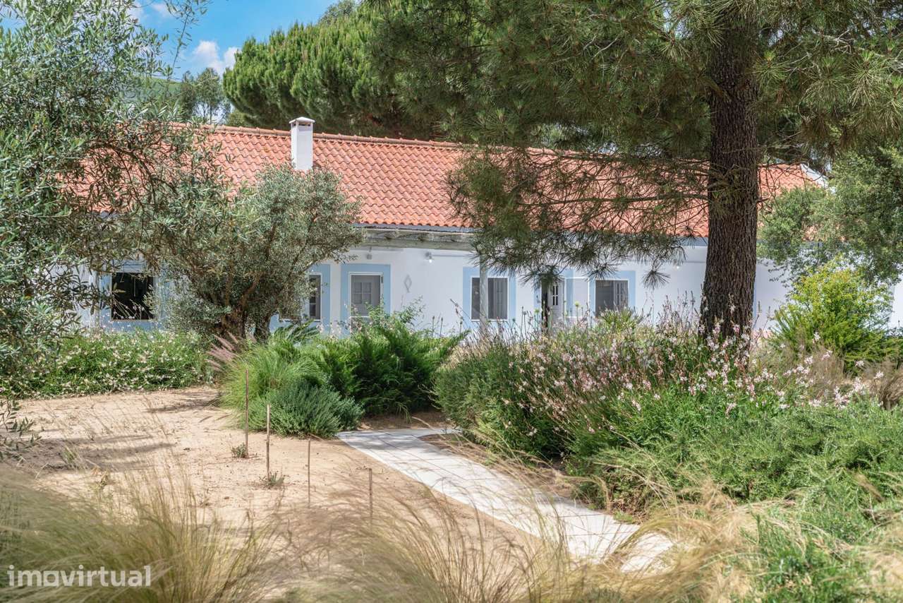 Quinta 4.6 ha, Melides, Grândola - Grande imagem: 4/55