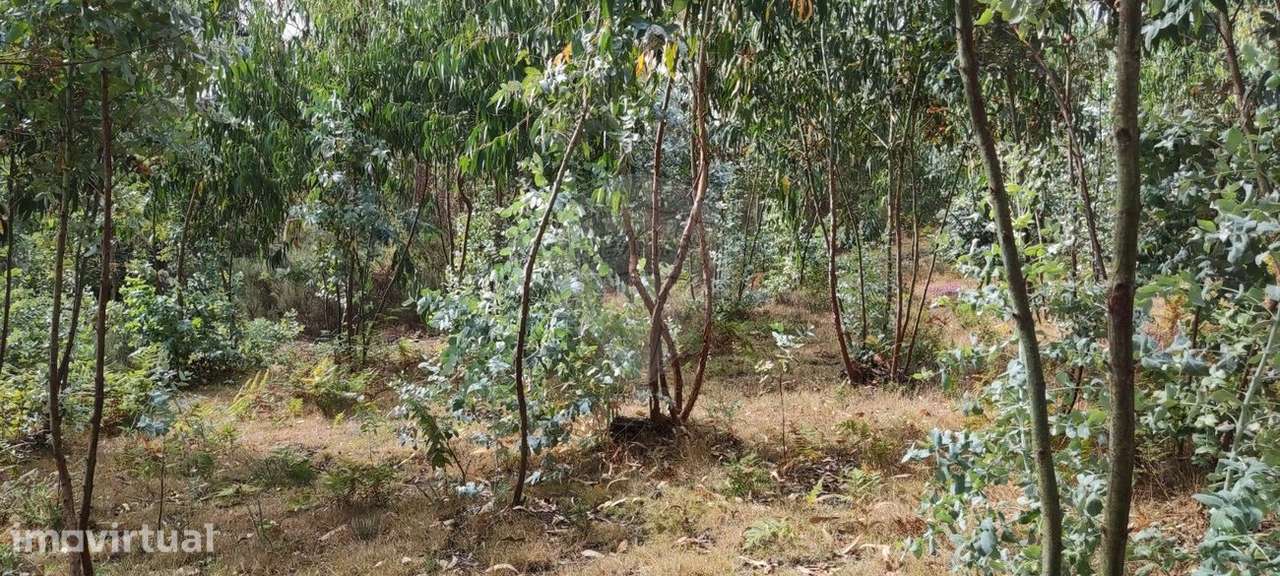 Terreno  para venda - Grande imagem: 2/10