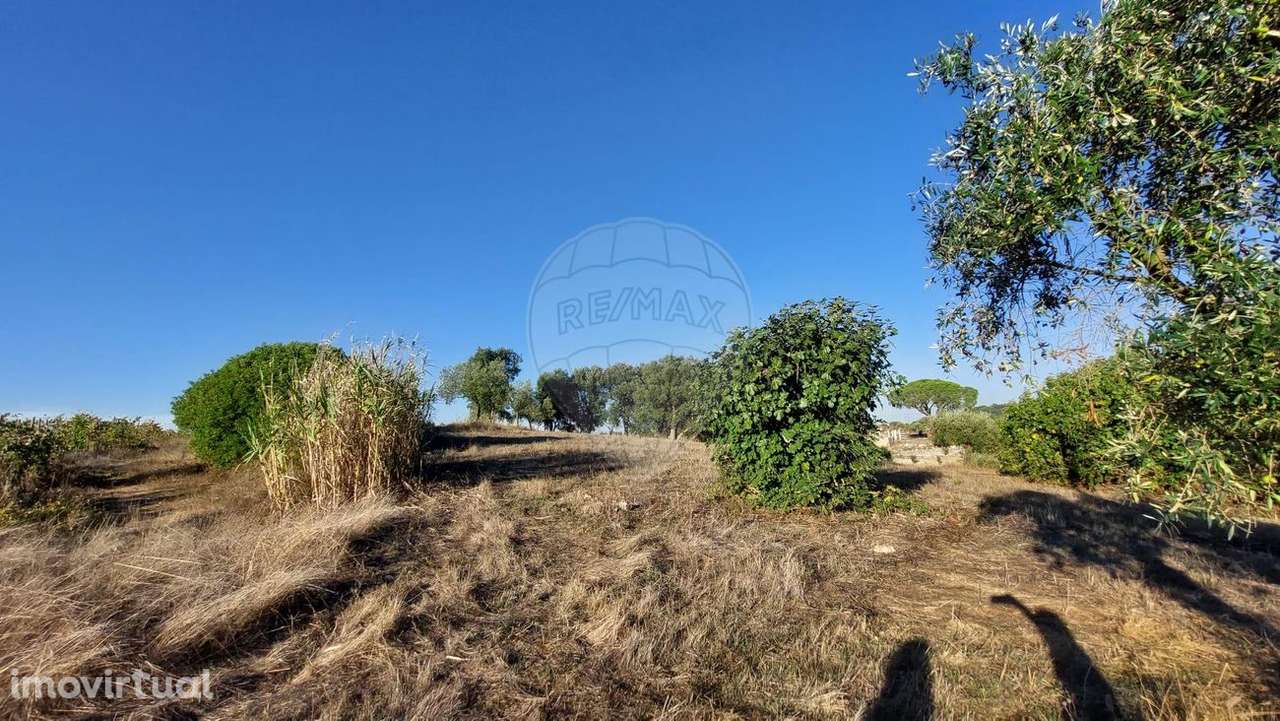 Terreno  para venda - Grande imagem: 5/17