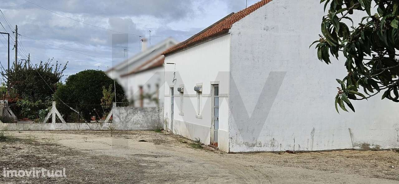 Potencial Exclusivo: Casa para Reconstruir na Muda (Comporta), Investi - Grande imagem: 4/24