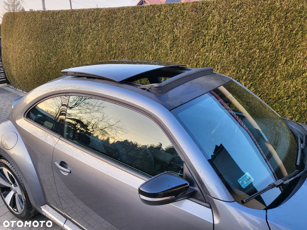 Volkswagen New Beetle - 3