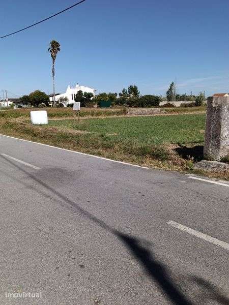 Terrenos urbano Cochadas - Tocha - Grande imagem: 3/10