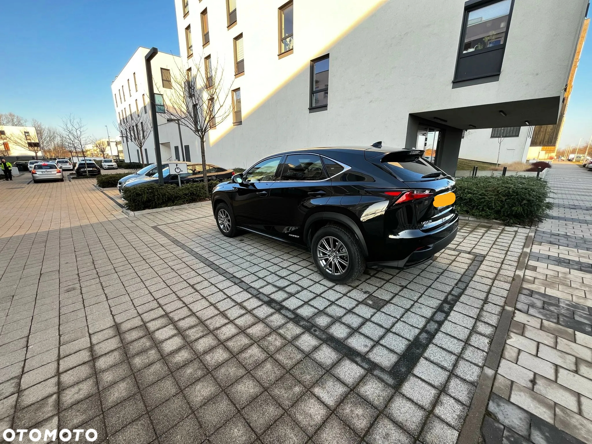 Lexus NX 300h Elegance 2WD - 4