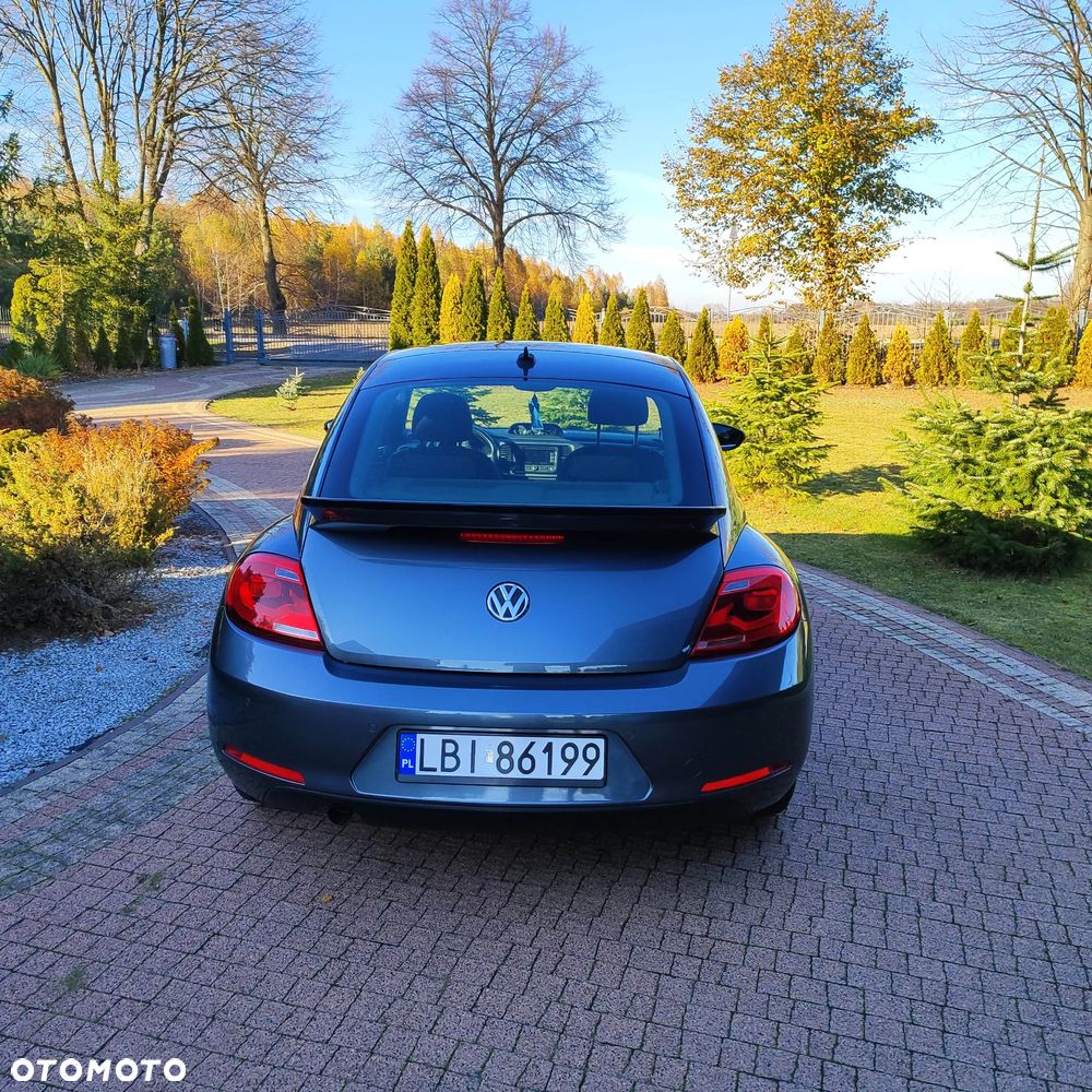 Volkswagen Beetle - 5