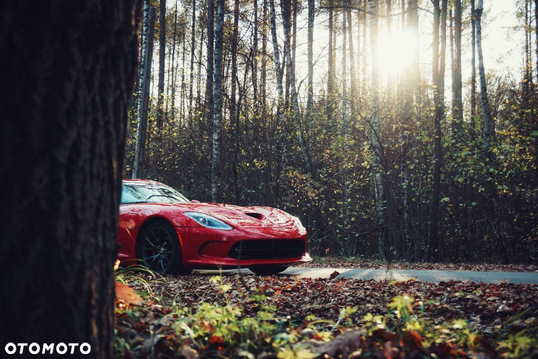 Dodge Viper - 8