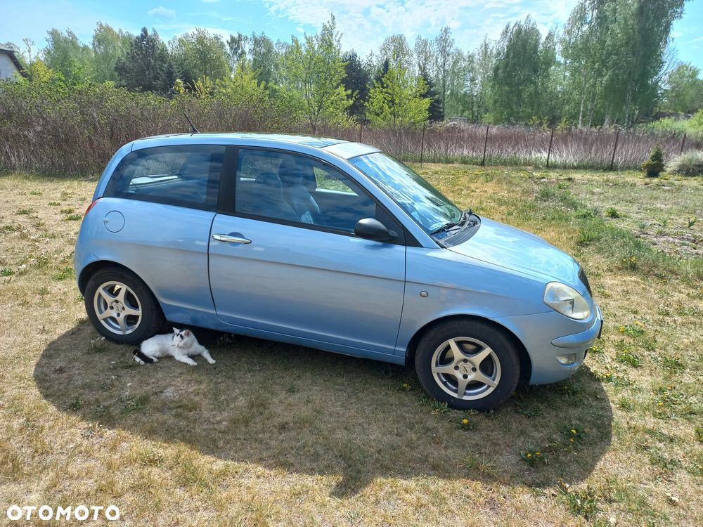 Lancia Ypsilon Y 1.4 16v Argento - 1